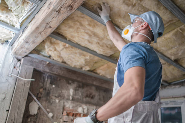 Best Spray Foam Insulation in Pine Valley, CA