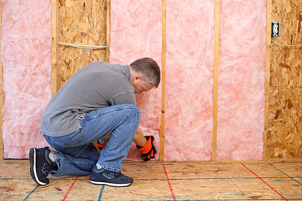 Best Specialized Insulation Services in Pine Valley, CA
